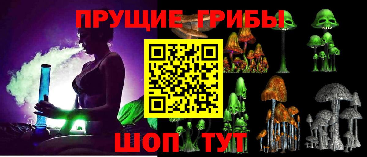 Бузулук  Галлюциногенные грибы Psilocybe  Вход с VPN  Галлюциногенные грибы Psilocybe 